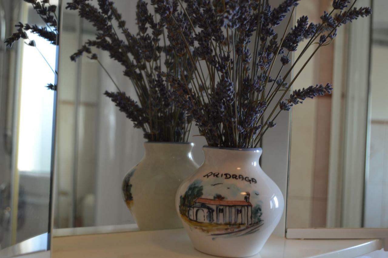 Apartman Lucija Apartment Pridraga ภายนอก รูปภาพ