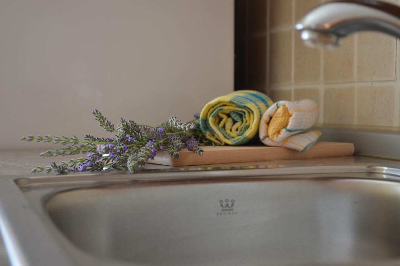 Apartman Lucija Apartment Pridraga ภายนอก รูปภาพ